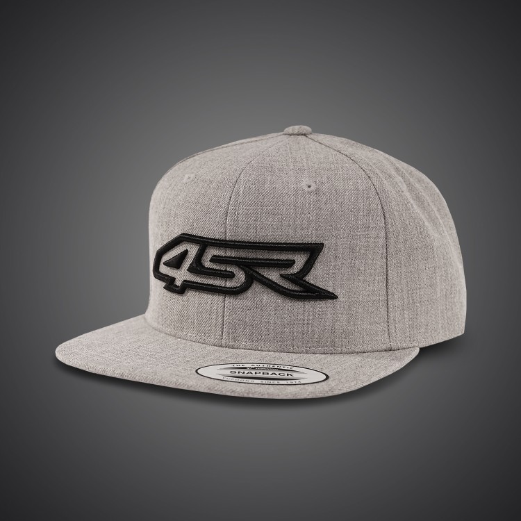 Pet Outline Grey Snapback